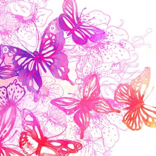 Wallpapers butterfly