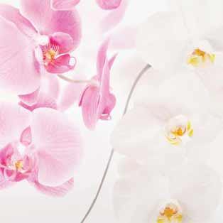 Glass prints orchid