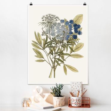 Poster flowers - Wild Herbs Board I