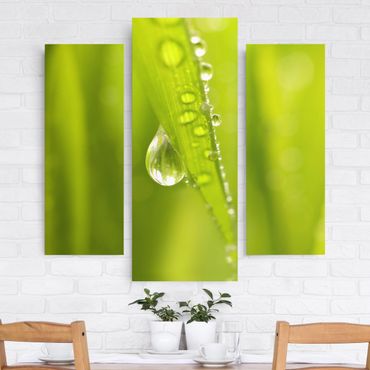 Print on canvas 3 parts - Morning Dew