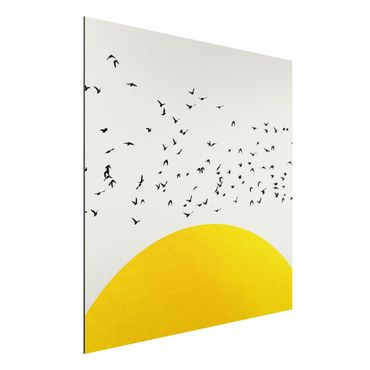 Alu-Dibond print - Flock Of Birds In Front Of Yellow Sun