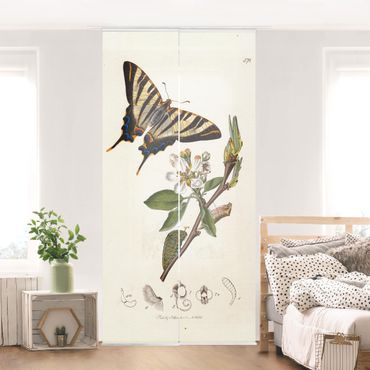Sliding panel curtains set - John Curtis - A Scarce Swallow-Tail Butterfly