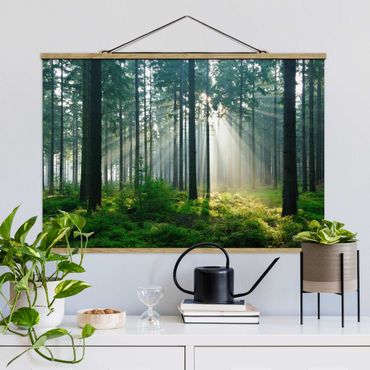 Fabric print with poster hangers - Enlightened Forest