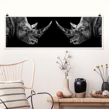 Panoramic poster animals - Rhino Duel