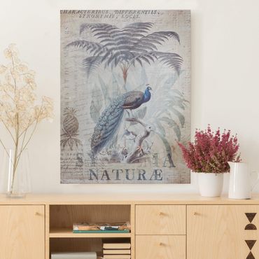 Print on canvas - Shabby Chic Collage - Peacock