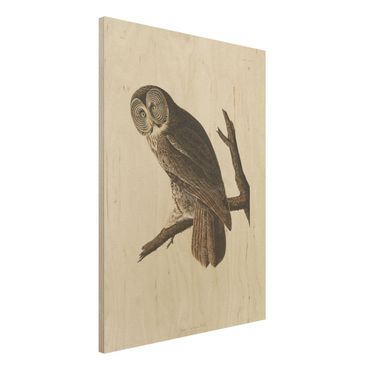 Print on wood - Vintage Board Great Owl