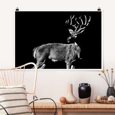 Poster - Deer In The Dark