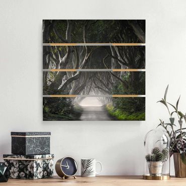 Print on wood - Forest In Northern Ireland