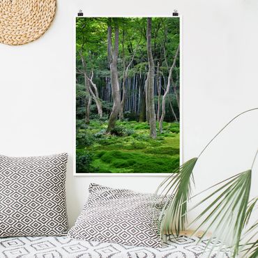 Poster forest - Japanese Forest