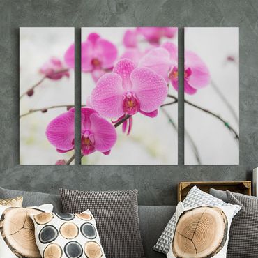 Print on canvas 3 parts - Close-Up Orchid