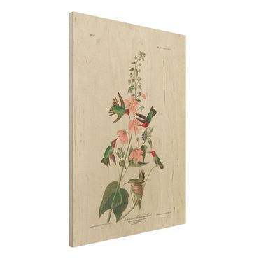 Print on wood - Vintage Board Colombian Hummingbird