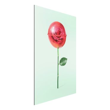 Print on aluminium - Rose With Lollipop