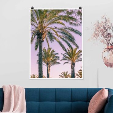 Poster - Palm Trees At Sunset