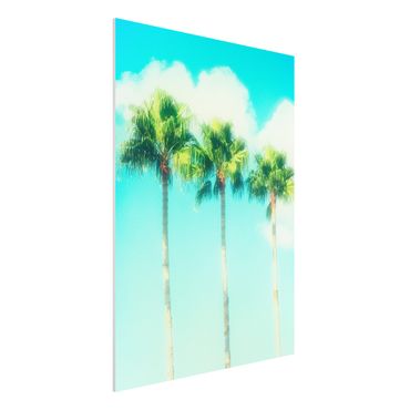 Print on forex - Palm Trees Against Blue Sky