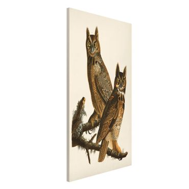 Magnetic memo board - Vintage Board Two Large Owls