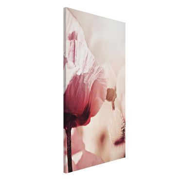 Magnetic memo board - Pale Pink Poppy Flower With Water Drops