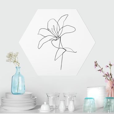 Forex hexagon - Line Art Flower Black White