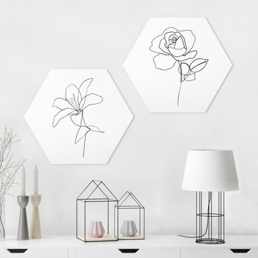 Forex hexagon - Line Art Flowers Black White Set