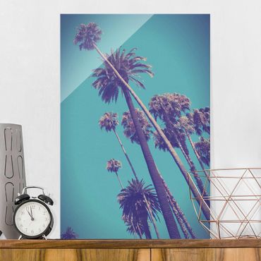 Glass print - Tropical Plants Palm Trees And Sky