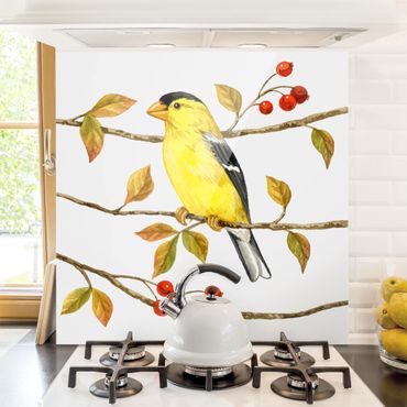Glass Splashback - Birds And Berries - American Goldfinch - Square 1:1