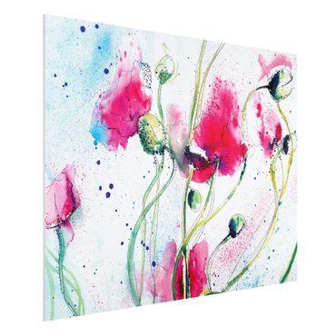 Forex print - Painted Poppies