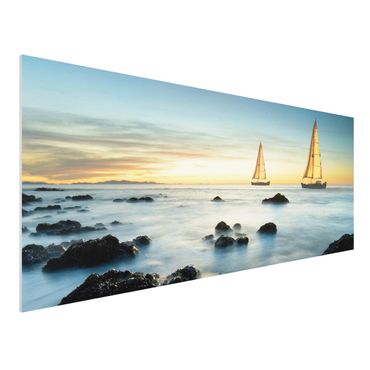 Forex print - Sailboats On the Ocean
