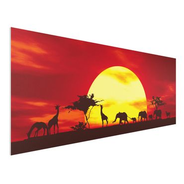 Forex print - No.CG80 Sunset Caravan