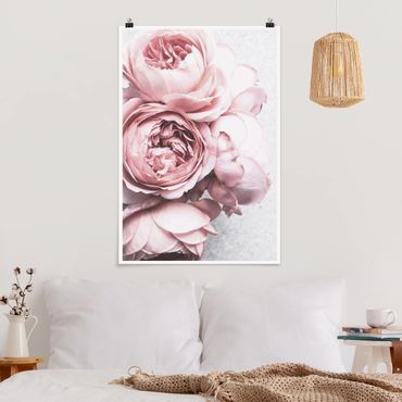 Poster - Light Pink Peony Flowers Shabby Pastel