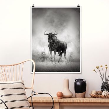 Poster - Staring Wildebeest