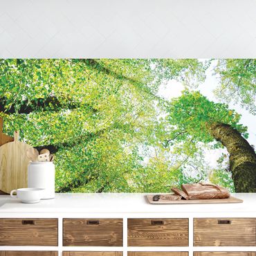 Kitchen wall cladding - Trees Of Life