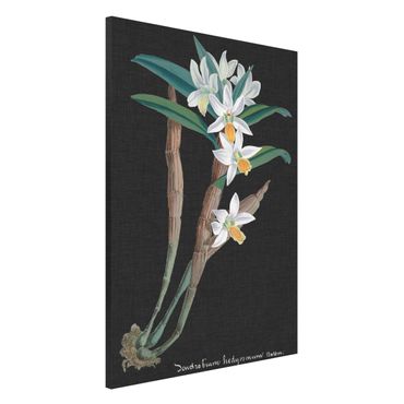 Magnetic memo board - White Orchid On Linen I