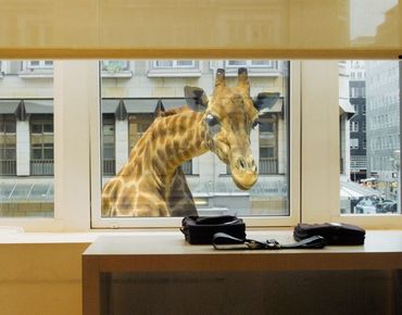 Window sticker - Curious Giraffe