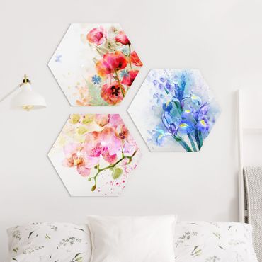 Forex hexagon - Watercolour Flower Trio