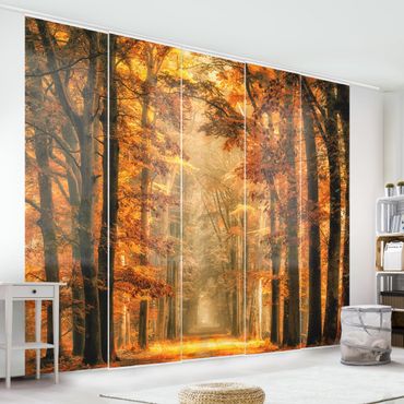Sliding panel curtains set - Enchanted Forest In Autumn