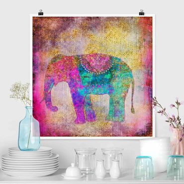 Poster - Colourful Collage - Indian Elephant