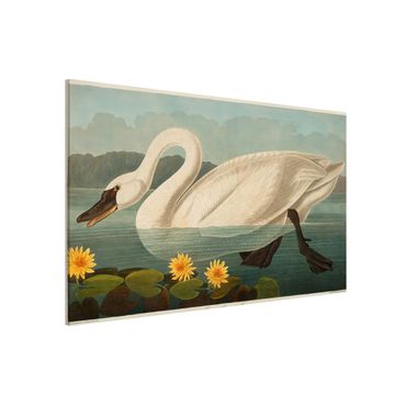 Magnetic memo board - Vintage Board American Swan