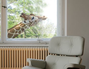 Window sticker - Searching giraffe