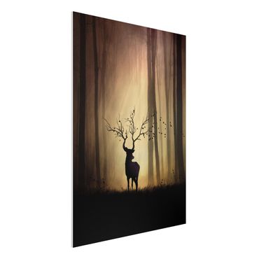 Forex print - The Lord Of The Forest