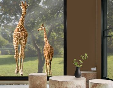 Window sticker - Two Giraffes