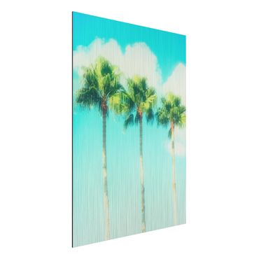 Print on aluminium - Palm Trees Against Blue Sky