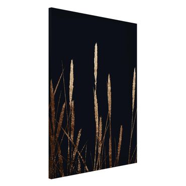 Magnetic memo board - Graphical Plant World - Golden Reed