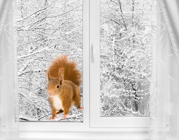 Window sticker - Squirrels II