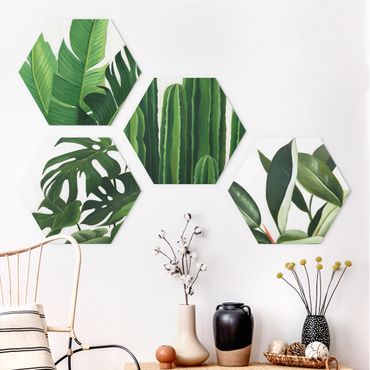 Forex hexagon - Favorite Plants Tropical Set I