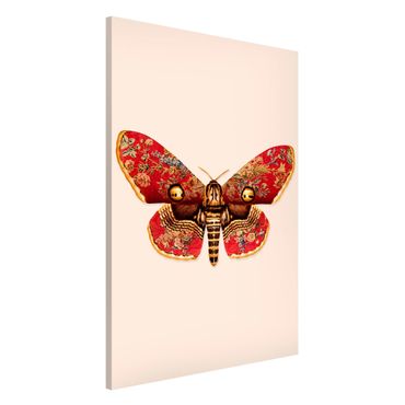 Magnetic memo board - Vintage Moth