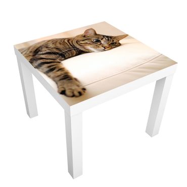 Adhesive film for furniture IKEA - Lack side table - Cat Chill Out