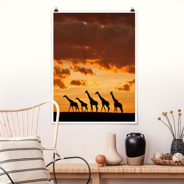 Poster animals - Five Giraffes