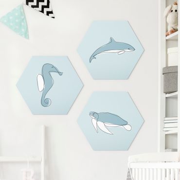 Forex hexagon - Dolphin Turtle Seahorse Line Art
