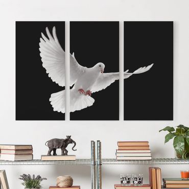 Print on canvas 3 parts - Dove Of Peace