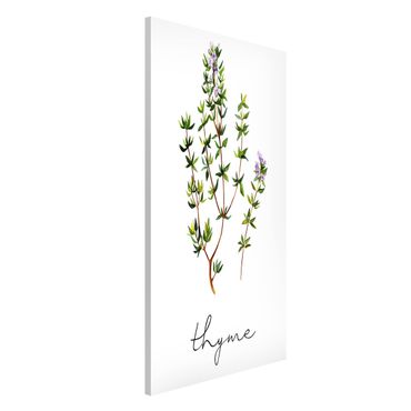 Magnetic memo board - Herbs Illustration Thyme