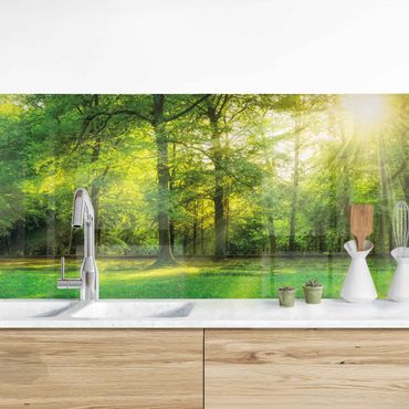 Kitchen wall cladding - Walk In The Woods